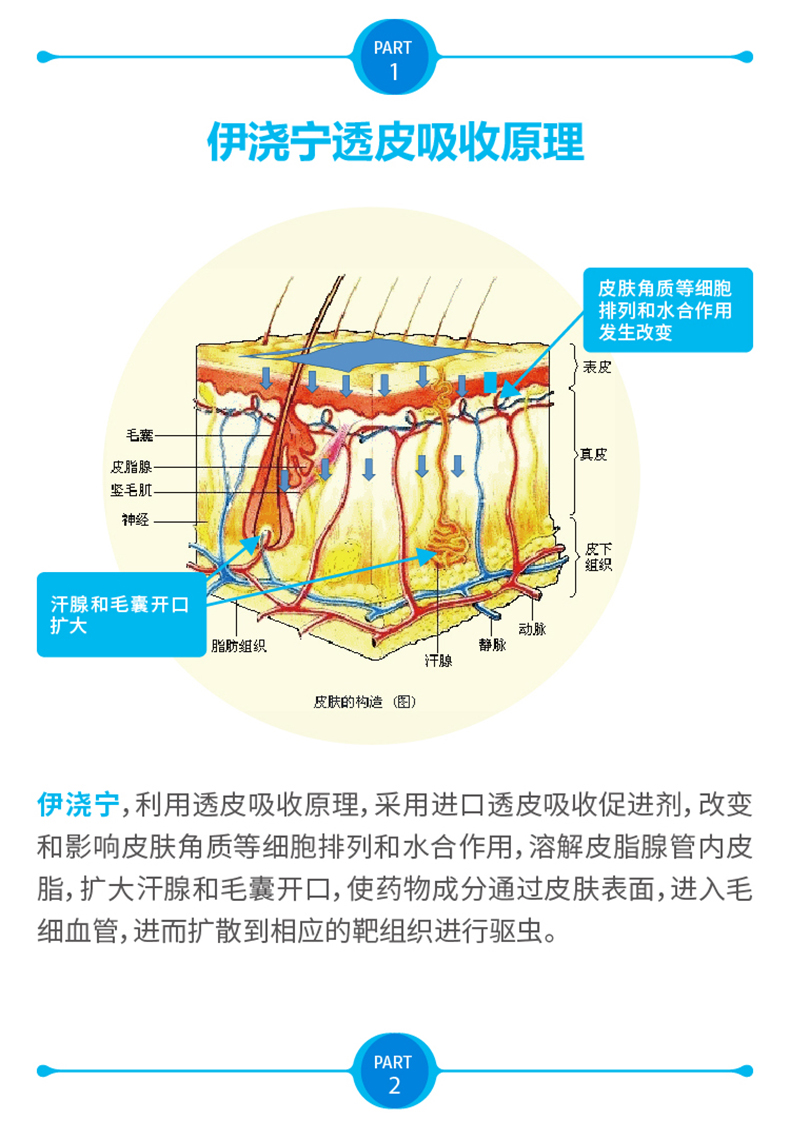 2024澳门原料网大全